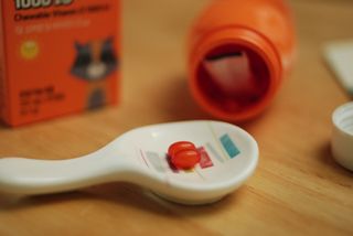 앙팡 츄어블 비타민D 1000 IU 130mg x 90정 — 4.5점을 준 리뷰어가 2023년 1월 올린 사용 사진