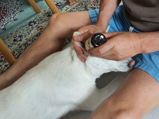 냥이님이 올린 리뷰 사진 3