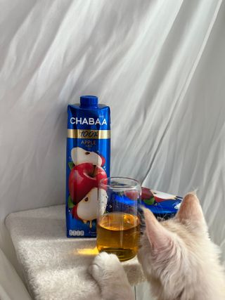 으나님이 올린 리뷰 사진 3