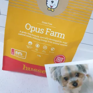 딸기맘님이 올린 리뷰 사진 4