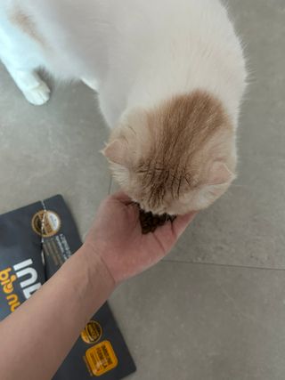 봉지집사님이 올린 리뷰 사진 1