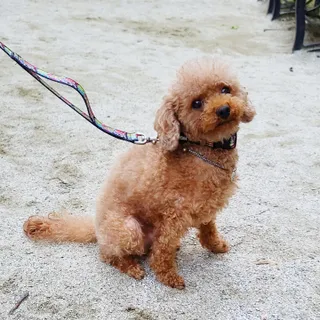 꽃양뿌니님이 올린 리뷰 사진 2