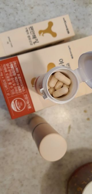 메이준뉴트리 메이준쎌 편안해질 Y케어 유산균 — 5점을 준 리뷰어가 2021년 2월 올린 사용 사진