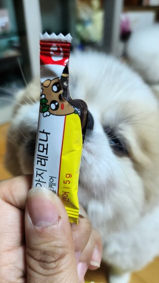 창현님이 올린 리뷰 사진 3