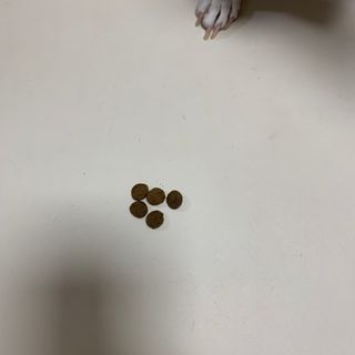 풀희띠님이 올린 리뷰 사진 3