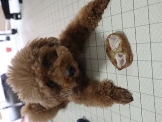 민쓰님이 올린 리뷰 사진 3