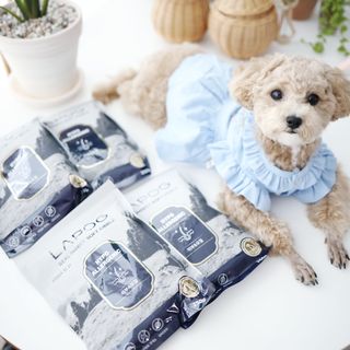 [푸디웜] 라포그 리얼인섹트 소프트키블 스킨 1KG — 5점을 준 리뷰어가 2022년 9월 올린 사용 사진