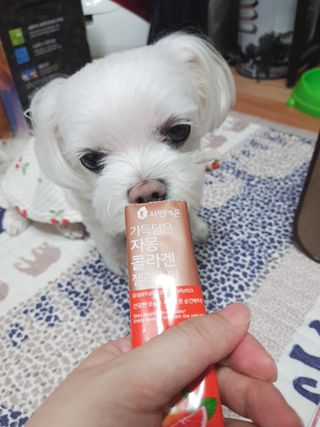 두부님이 올린 리뷰 사진 4