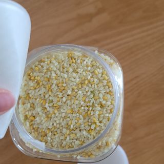 하나로라이스 바로짓는 혼합백미 여주쌀 2kg 3종 택1 — 5점을 준 리뷰어가 2022년 4월 올린 사용 사진
