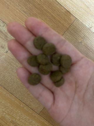 지미추님이 올린 리뷰 사진 3