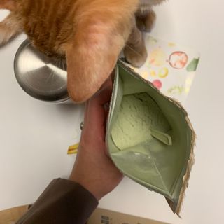오잉님이 올린 리뷰 사진 2