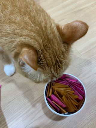 페페로니 맛있는 스틱 - 무항생제 닭고기 15개 + 알래스카 연어 15개 — 5점을 준 리뷰어가 2021년 9월 올린 사용 사진