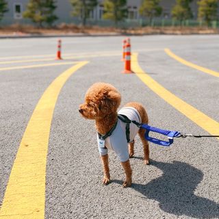조이님이 올린 리뷰 사진 2