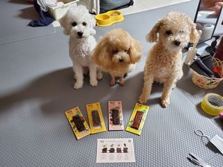 모모맘님이 올린 리뷰 사진 3