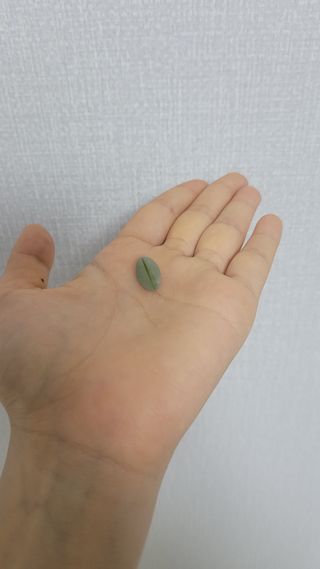 이예림님이 올린 리뷰 사진 3