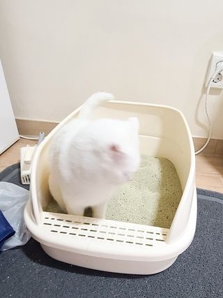 hyung님이 올린 리뷰 사진 3
