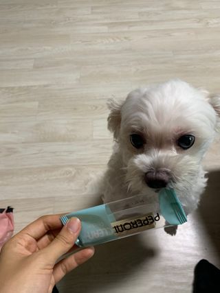 페페로니 클린플러스 덴탈치킨껌 10g x 14p — 5점을 준 리뷰어가 2021년 7월 올린 사용 사진