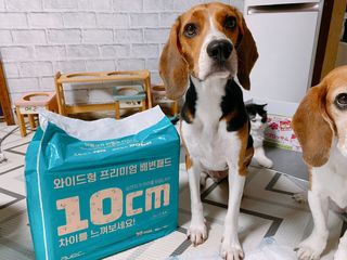 아베크 펫 와이드 프리미엄 대형 애견 강아지 배변 패드 30매 1팩 80g — 4점을 준 리뷰어가 2021년 7월 올린 사용 사진