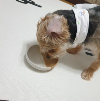 아르코♡님이 올린 리뷰 사진 4