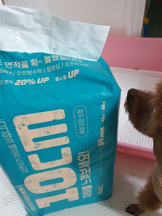 아베크 펫 와이드 프리미엄 중형 애견 강아지 배변 패드 54매 1팩 45g — 5점을 준 리뷰어가 2021년 7월 올린 사용 사진