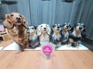 5_daks님이 올린 리뷰 사진 2