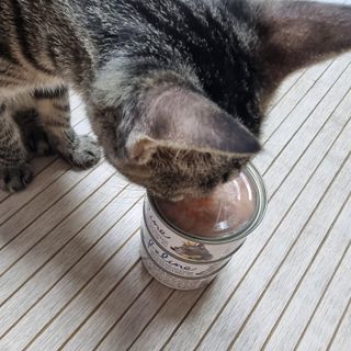 파비올라님이 올린 리뷰 사진 4