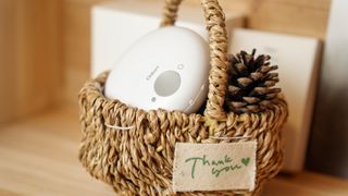 Amina님이 올린 리뷰 사진 2