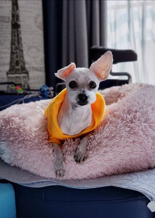 은지님이 올린 리뷰 사진 2