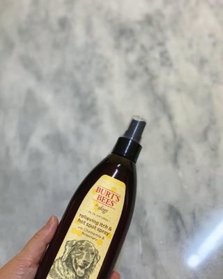 비베숑님이 올린 리뷰 사진 1