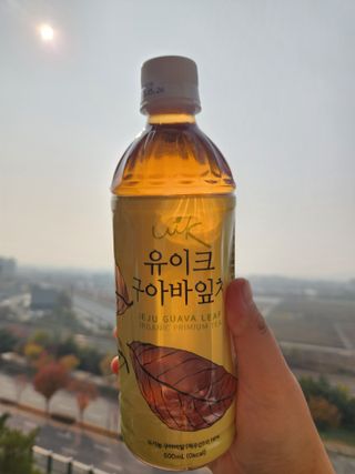 소피야님이 올린 리뷰 사진 2