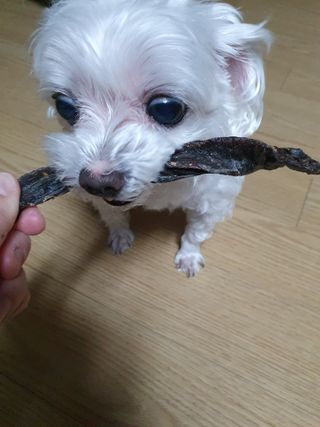 끌랑님이 올린 리뷰 사진 3