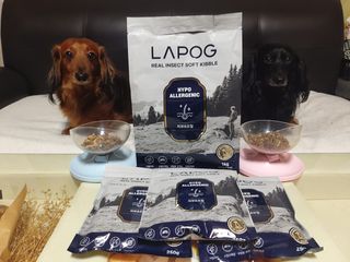 [푸디웜] 라포그 리얼인섹트 소프트키블 스킨 1KG — 5점을 준 리뷰어가 2022년 9월 올린 사용 사진