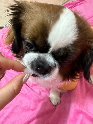 여진님이 올린 리뷰 사진 3