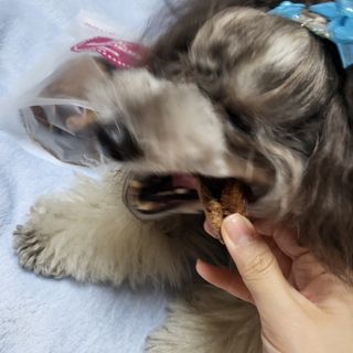 十二夜님이 올린 리뷰 사진 3