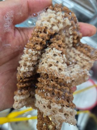 반짝이다님이 올린 리뷰 사진 1