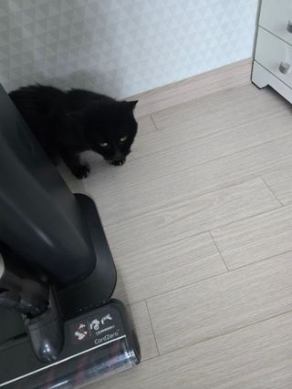 가횽님이 올린 리뷰 사진 3