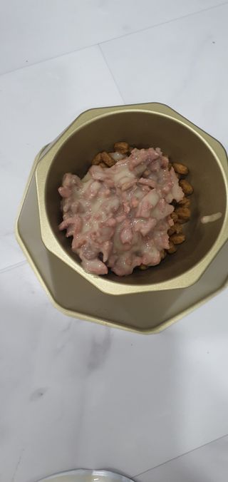비타크래프트 조에시 하트캔 85g 강아지 습식캔 10캔 — 5점을 준 리뷰어가 2021년 7월 올린 사용 사진