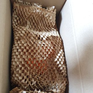 킴지님이 올린 리뷰 사진 2