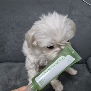 제잉님이 올린 리뷰 사진 1