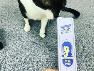 한화핫도그녀님이 올린 리뷰 사진 3