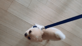 베이컨박스 [BACON] 고아웃클럽 이지그립 리드줄, 목줄 세트-BLUE — 5점을 준 리뷰어가 2021년 7월 올린 사용 사진