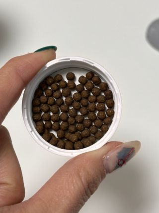 채으으으은이1님이 올린 리뷰 사진 3