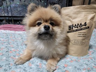 [보헤리] 국내산 강아지 육포간식 바삭 64 2종 — 4점을 준 리뷰어가 2022년 4월 올린 사용 사진