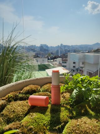 스킨큐어 산다화 카멜리아 안티 링클 멀티밤 — 4.5점을 준 리뷰어가 2022년 4월 올린 사용 사진