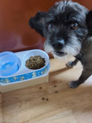 푸름님이 올린 리뷰 사진 3