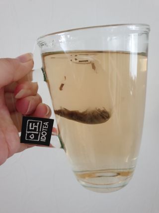 해피투쩡님이 올린 리뷰 사진 4