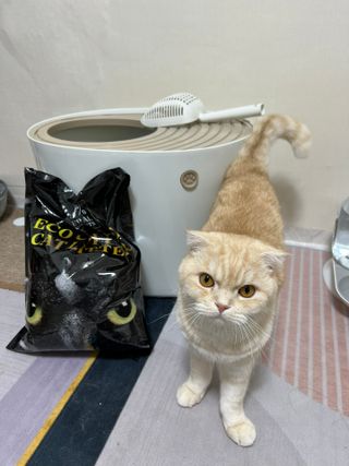 SoYeonPark님이 올린 리뷰 사진 1