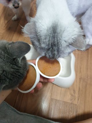 알몽님이 올린 리뷰 사진 4