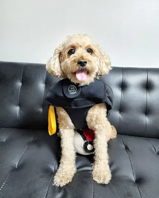 란아님이 올린 리뷰 사진 1
