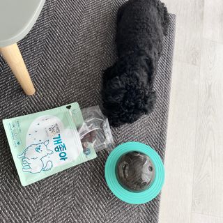 My Pet Care 천연단백질 눈건강에 개좋아 — 5점을 준 리뷰어가 2021년 3월 올린 사용 사진